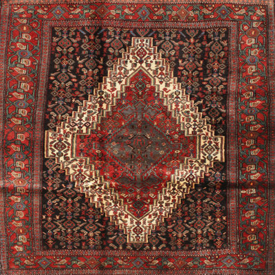 Hemke Oriental Indoor Rug