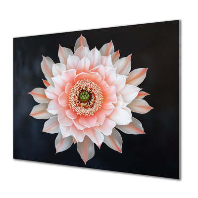 Cactus rose, fleur de cactus I