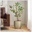 Bonsai artificiel en feuille de Milan-822922030