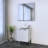 Lissia 23.6'' Single Bathroom Vanity with Top-1093347522-1093347521