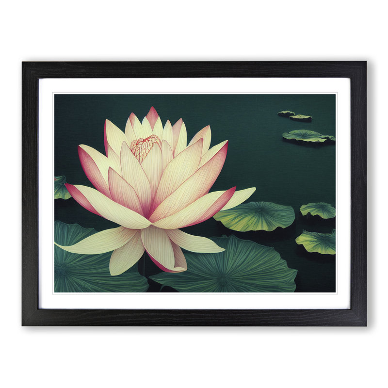 Victorious Lotus Flower - Framed Print, Black, 46cm H x 64cm W x 2cm D