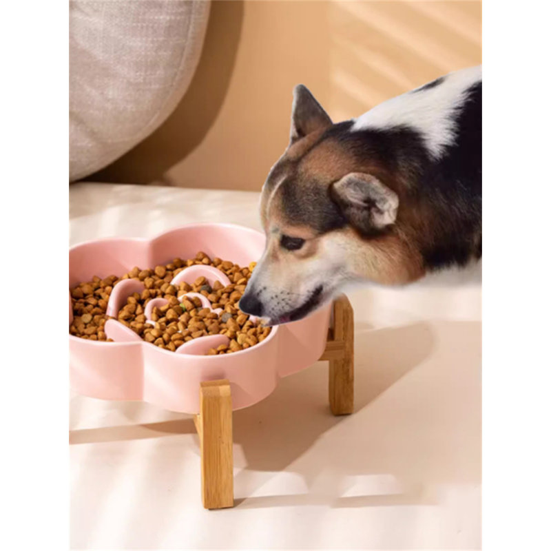Bol pour animal à alimentation lente, Rose