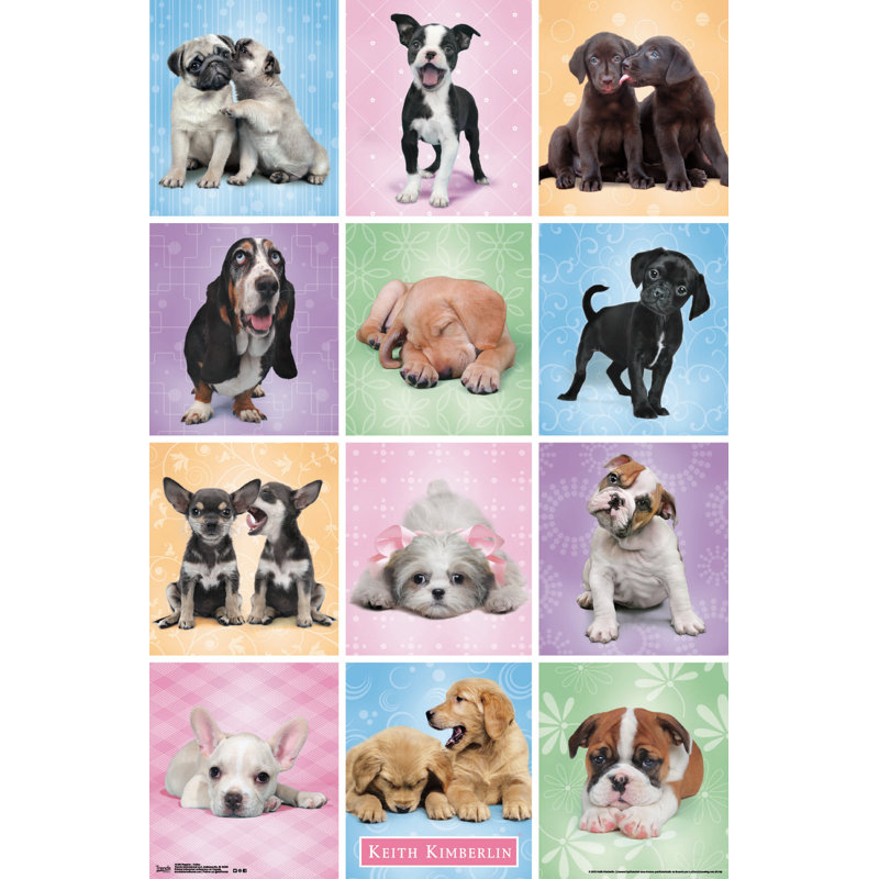 Animals Paper Print