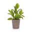 3 pots de fleurs en céramique, pot de fleurs moderne pour patio, jardin ou rebords de fenêtre-1394105555