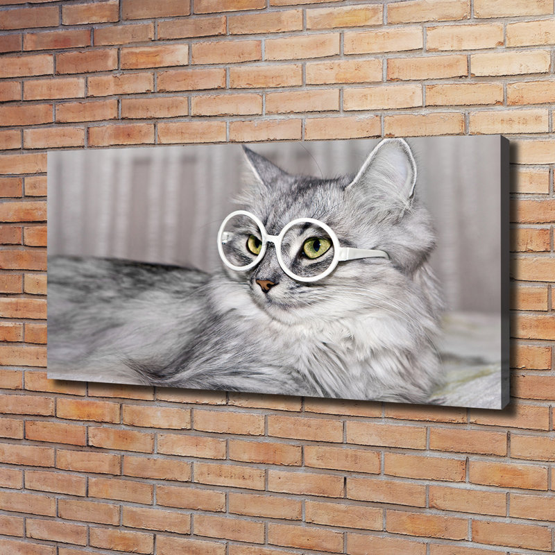 Cat With Glasses - Wrapped Canvas Print