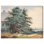 Deux arbres anciens, reproduction d'art sur toile par Art Remedy