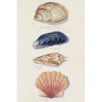 Shore Things II by Grace Popp - Painting on Canvas