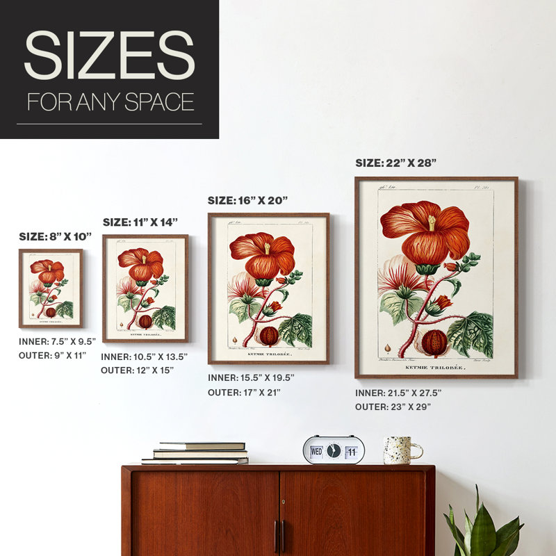 Reproduction encadrée Turpin Tropical Botanicals VII - bois massif, Brun, H 14 po x l 11 po