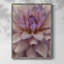 «Soft Flower Petals II», reproduction encadrée - bois massif-792245231
