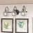Abdula 3 - Light Dimmable Vanity Light