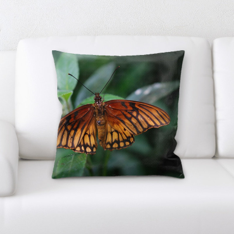 Coussin décoratif papillon