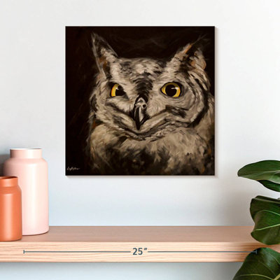 Crowle Black Background Owl