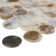 Conchella Penny Natural 11-1/4" x 11-5/8" Natural Shell Mosaic Tile