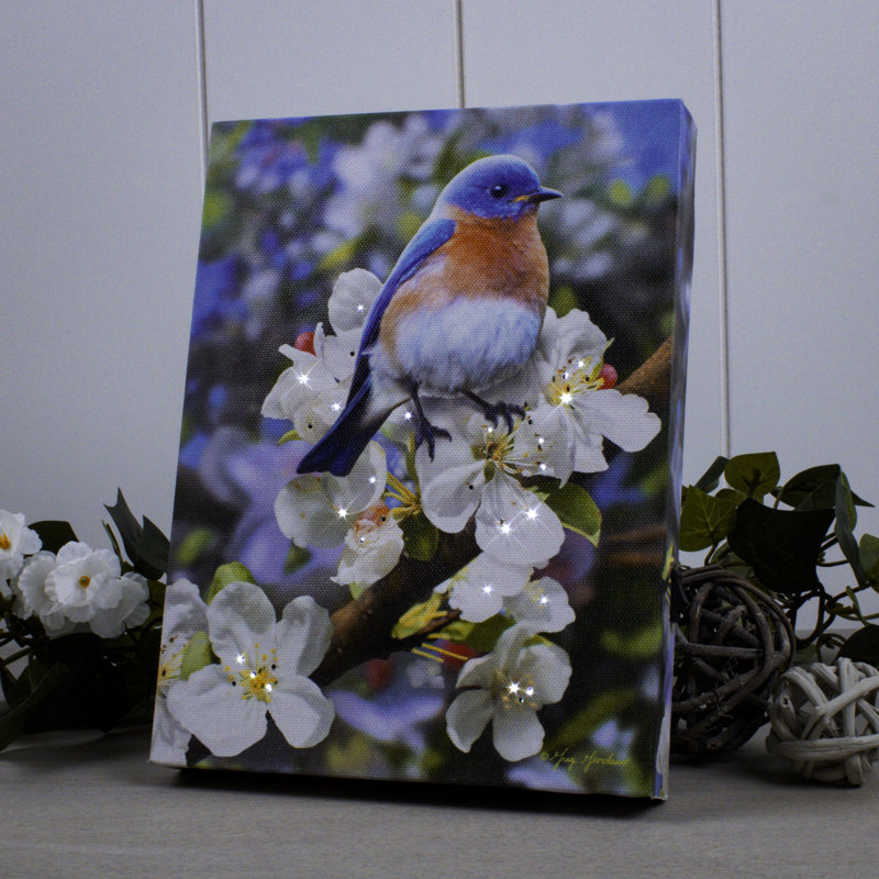 Bluebird 8x6 Mini Lighted Easel Back Canvas