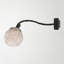 Luna Armed Sconce-813402779