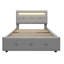 Barbare Upholstered Drawers Bed-1692149661