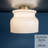 Hunter x Jasmine Roth Harlowe 1 Light Flush Mount Ceiling Light Fixture
