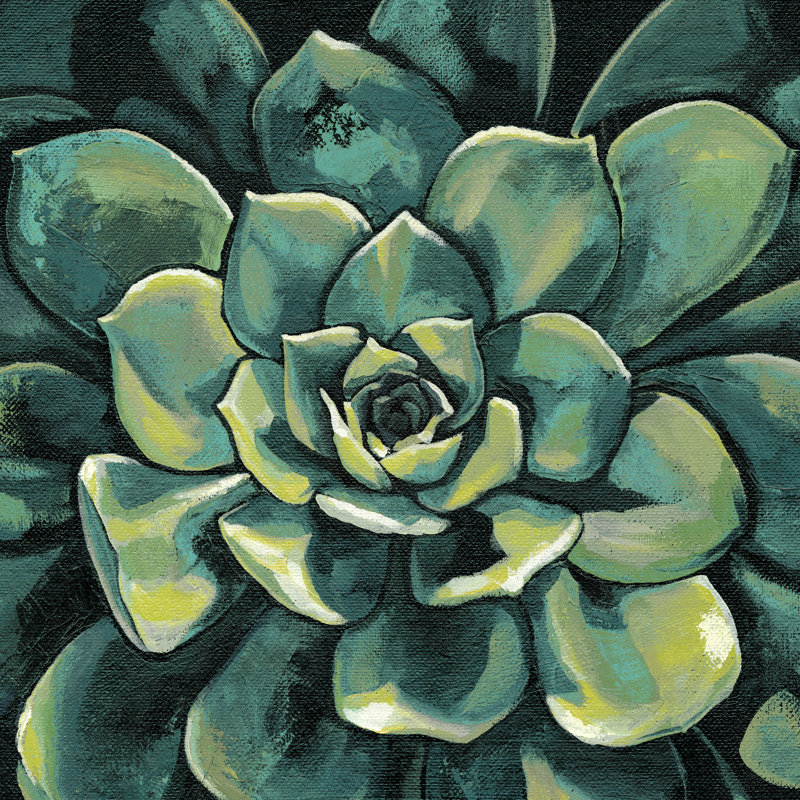 Succulent Bloom I, H 36 po x l 36 po x P 1,25 po