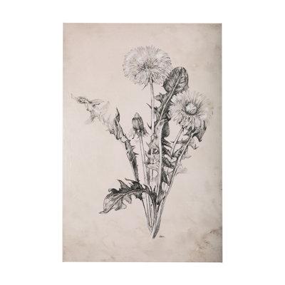 Pissenlit dessin II une toile texturée embellie à la main
