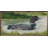 Loon On The Water-863312696