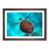 Walnut Framed