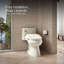 C3® 155 Cleansing Elongated Toilet Seat-991611156