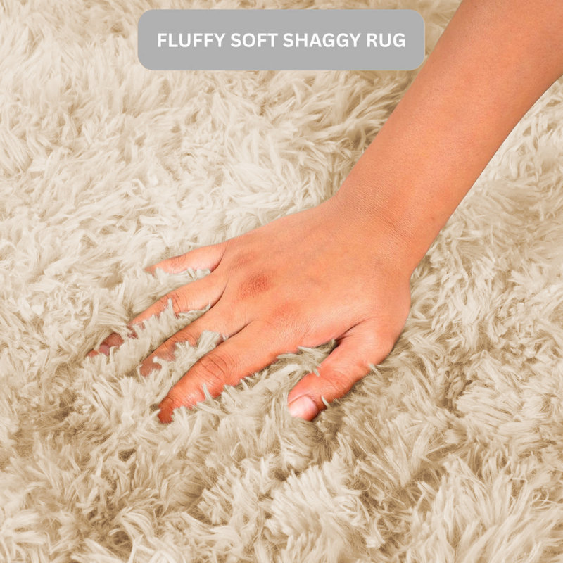Abbotsen Solid Colour Shag Area Rug, Rectangle 200 x 290cm