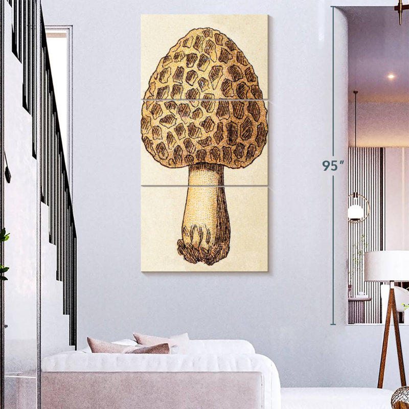 Morille et champignon