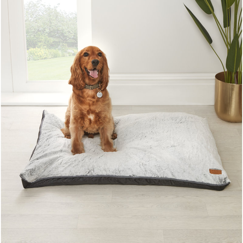 Polyester Pet Bed, 4.72cm H x 39.37cm W x 27.56cm D