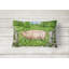 Coussin décoratif intérieur / extérieur Pig in Daisies par Debbie Cook