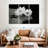 Harnek Monochrome Water Lilies-107993008