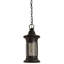Rustic Lodge 1 - Light Pendant