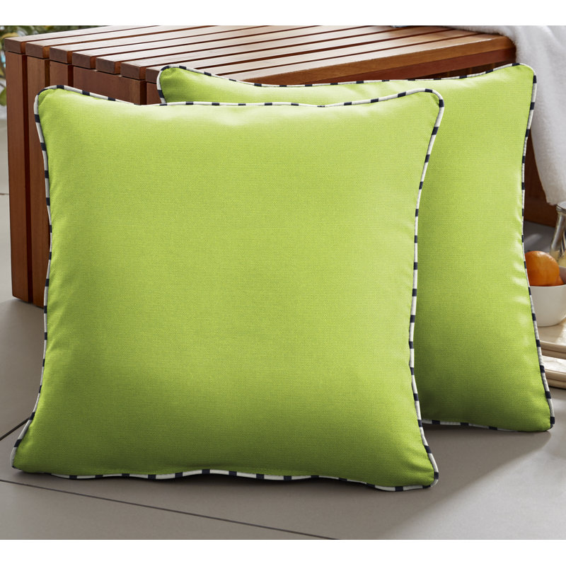  Housse et insert de coussin extérieur d'extérieur, 24 po x 24 po, Vert ara / rayures bleues