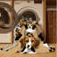  Tapis lavable Beagle Dogs-1312491796