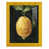 Jaune tournesol est en rupture de stock