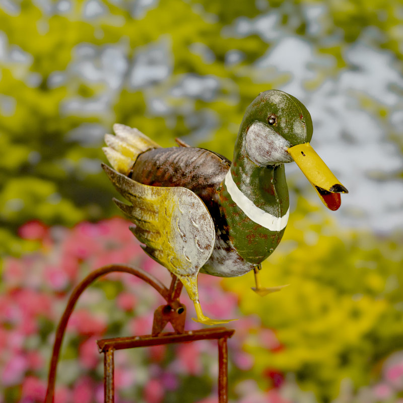 Grand piquet de 55 po Mallard