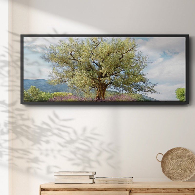 Olive Tree- Framed Canvas, 24" H x 60" W