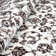 Raquette Oriental Area Rug