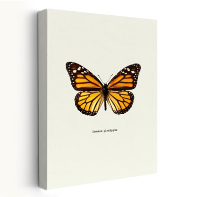 Papillon jaune - Art avec papillons