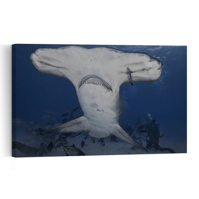 Ocean Hammerhead Encounter Contemporary Fish Shark Nature Ocean Wall Art Print