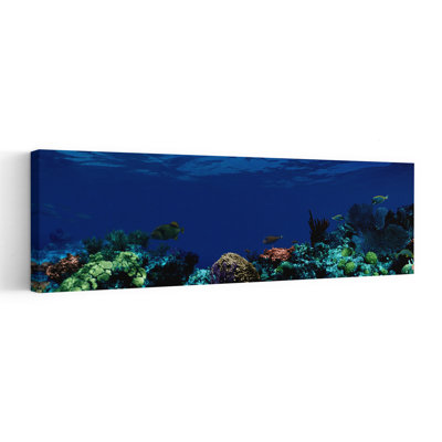 Underwater Colourful Fish Ocean Tropical Wall Art