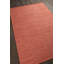 India Hand Loomed Cotton Modern Area Rug in Orange-228060944