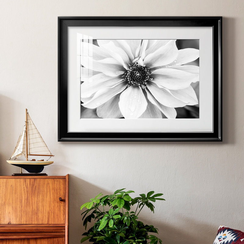 Hello Daisy - Matted and Framed Under Acrylic Glass, Large Living Room Wall Art, 30.5" H x 42.5" W x 1" D, Black