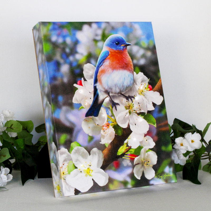 Bluebird 8x6 Mini Lighted Easel Back Canvas