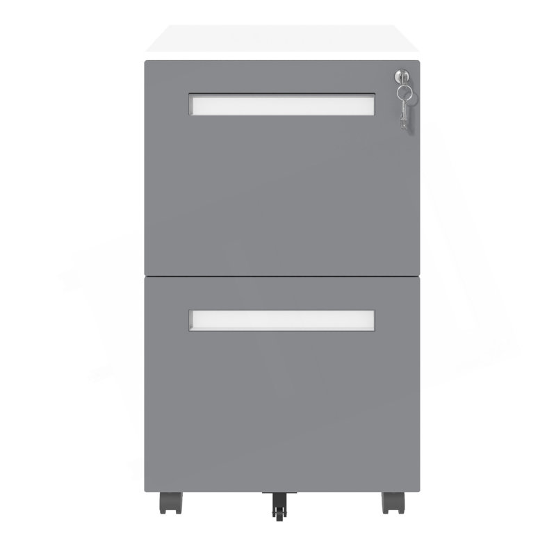 2-Drawer Mobile File Cabinet with Lock, All-Steel Metal Storage on 360° Wheels, Fully Assembled, High Capacity, for Home and Office Use
