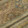 Premium Machine Washable Brennon AMF1626 Global Rug