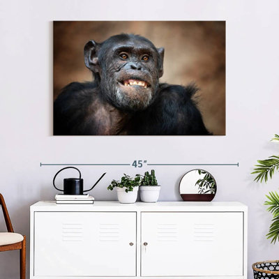 Funny Chimpanzee