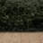 Performance Indoor Rug-92158513