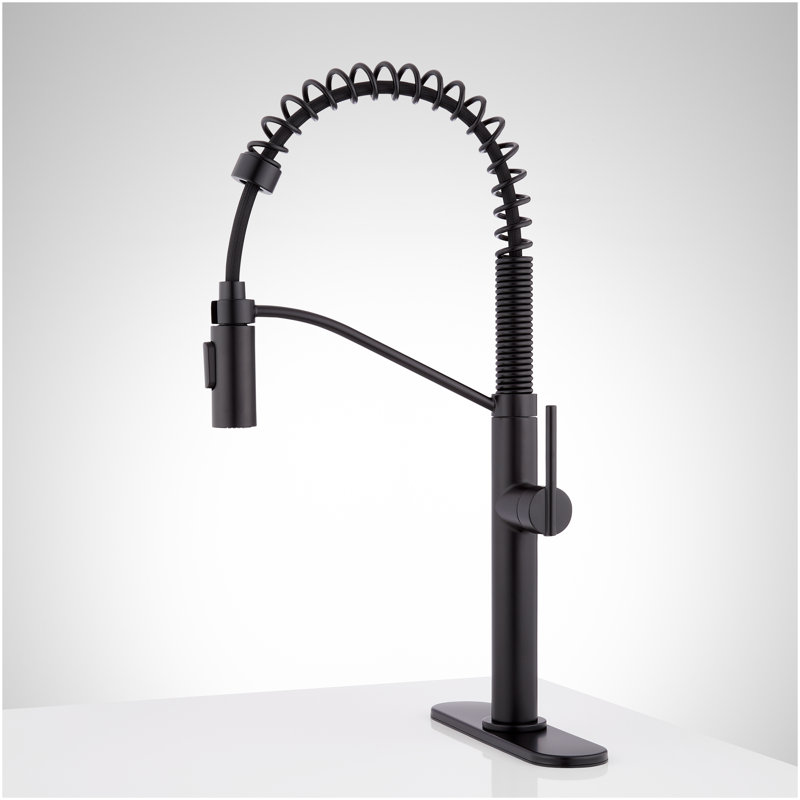 Eiler Kitchen Faucet with Pull Down Spring Spout with Deck Plate- Matte Black, Matte Black
