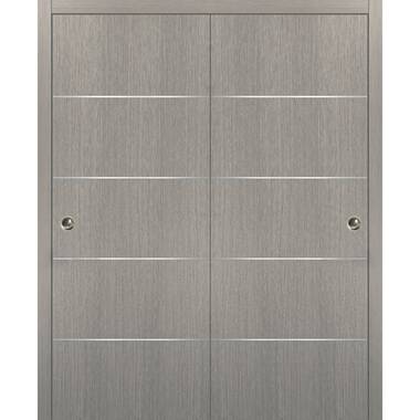 SARTODOORS Closet Sliding Doors 60 x 96, Gray